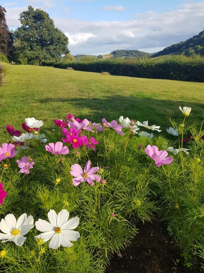 Eastwrey Barton Country House Lustleigh Esterno foto