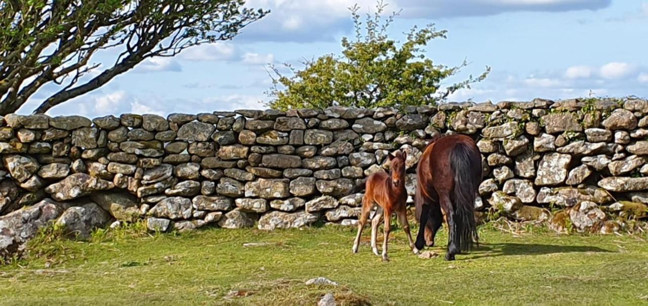 Eastwrey Barton Country House Lustleigh Esterno foto