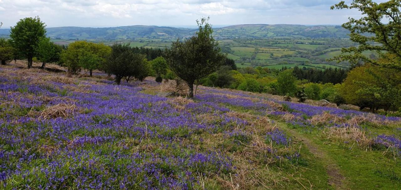 Eastwrey Barton Country House Lustleigh Esterno foto
